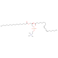Lecithin