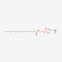 1-Palmitoylglycol-2-phosphocholine