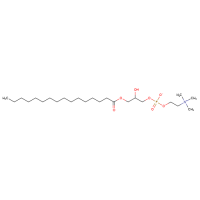 1-Palmitoyl-rac-glycero-3-phosphocholine