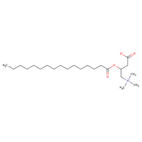 Palmitoyl-DL-carnitine
