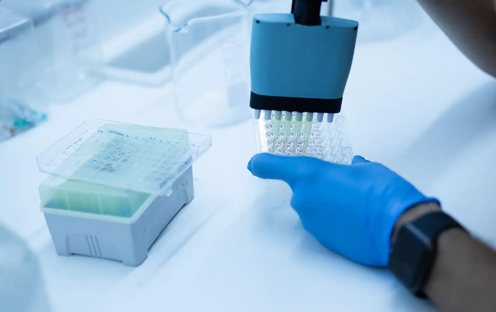 Laboratory researcher using pipette with microplate