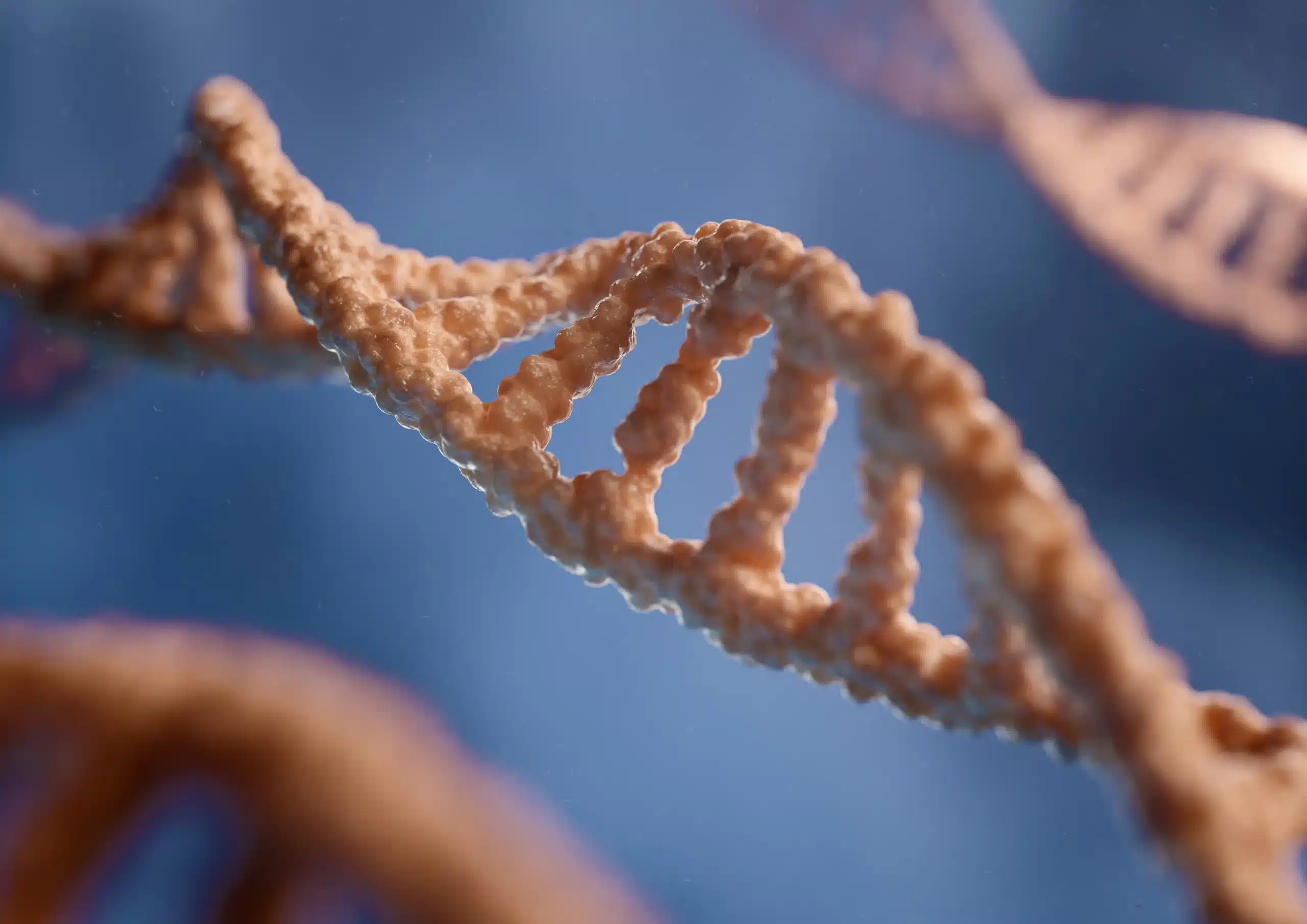 DNA Damaging Agents