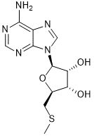 5'-S-Methyl-5'-thioadenosine