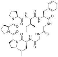 Heterophyllin B