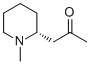 Methylisopelletierine