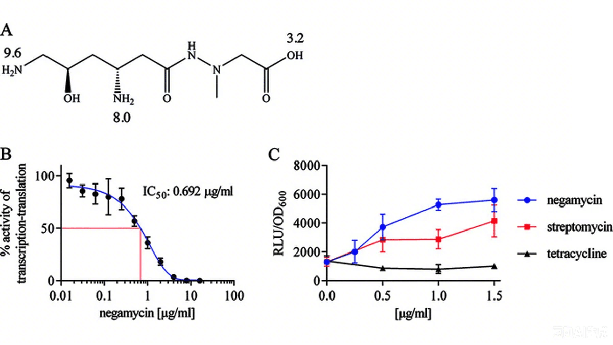 Negamycin chemical structure with pKa values, IC50 activity curves, and readthrough activity comparison