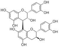 Procyanidin B1