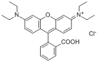 Rhodamine B