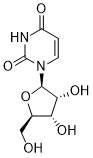 uridine-58-96-8.png