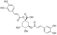 1,3-Di-O-caffeoylquinic acid