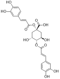 1,4-Di-O-caffeoylquinic acid