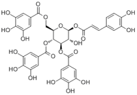 1-O-Caffeoyl-3,4,6-tri-O-galloyl-β-D-glucopyranose