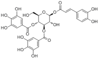 1-O-Caffeoyl-3,4-di-O-galloyl-β-D-glucopyranose