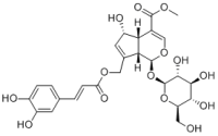 10-O-Caffeoyl-6-epiferetoside