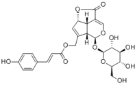 10-O-Coumaroyl-10-O-deacetylasperuloside