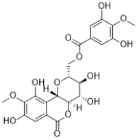 11-O-(4'-O-Methylgalloyl)bergenin