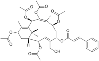 20-Deacetyltaxuspine X