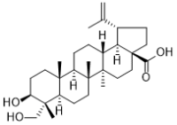 23-Hydroxybetulinic acid