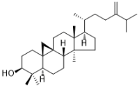 24-Methylenecycloartan-3β-ol