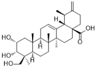 2α,3α,24-Trihydroxyursa-12,20(30)-dien-28-oic acid