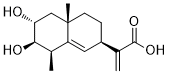 2α,3β-Dihydroxypterodontic acid