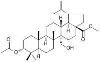 3α-Acetoxy-27-hydroxy-20(29)-lupen-28-oic acid methyl ester