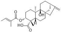 3α-Tigloyloxypterokaurene L3