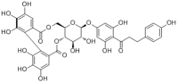 4-Hydroxythonningianin B