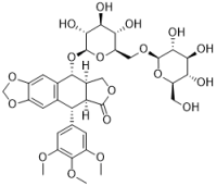 4'-O-Methylsinolignan B