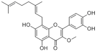 5,7,3',4'-Tetrahydroxy-3-methoxy-8-geranylflavone