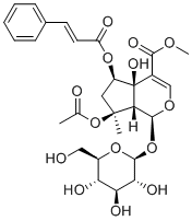 6-O-trans-Cinnamoylphlorigidoside B