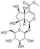6β-Hydroxyipolamiide