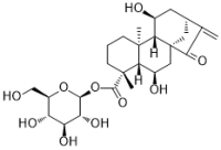 6β-Hydroxypaniculoside III