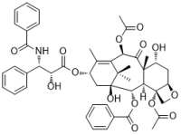 7-Epitaxol