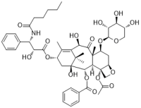7-Xylosyl-10-deacetyltaxol C