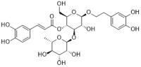 Acteoside
