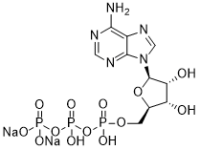 Adenosine triphosphate disodium