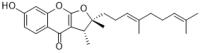 Baigene B