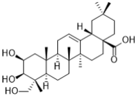 Bayogenin