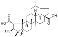 Ceanothic acid