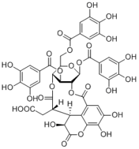 Chebulinic acid