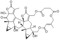 Chlorahololide B