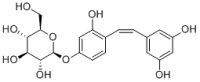 cis-Oxyresveratrol 4'-O-glucoside