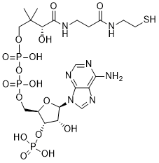 coa-85-61-0.png