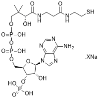 CoA sodium salt