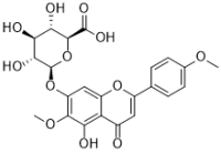 Comanthoside B