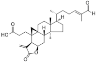 Coronalolide