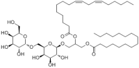 Digalactosyldiacylglycerol