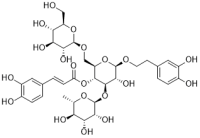 Echinacoside