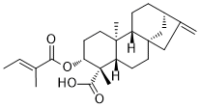 ent-3β-Tigloyloxykaur-16-en-19-oic acid